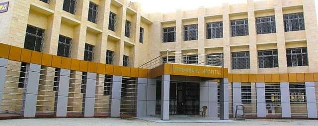 College_of_Veterinary_Sciences_and_Animal_Husbandry